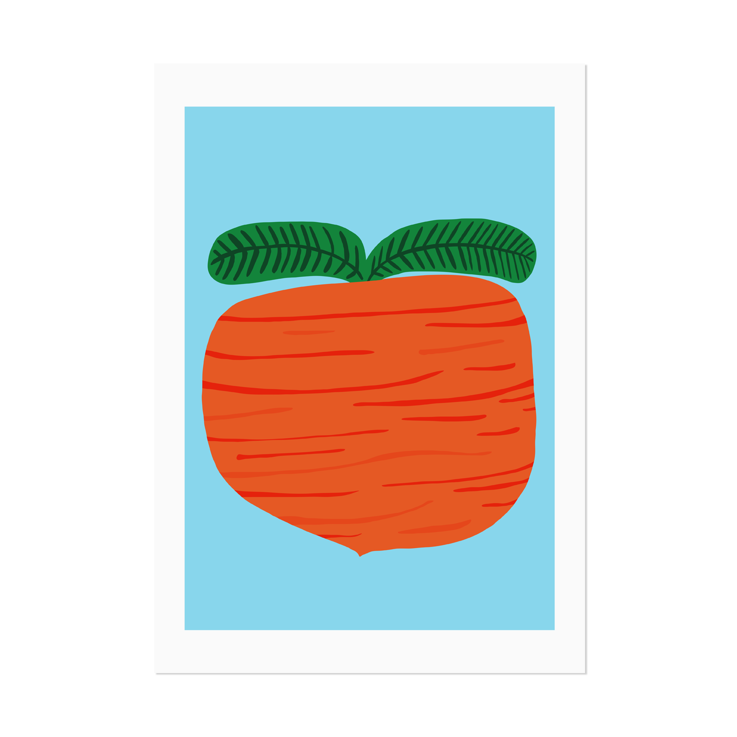 Carrot 1