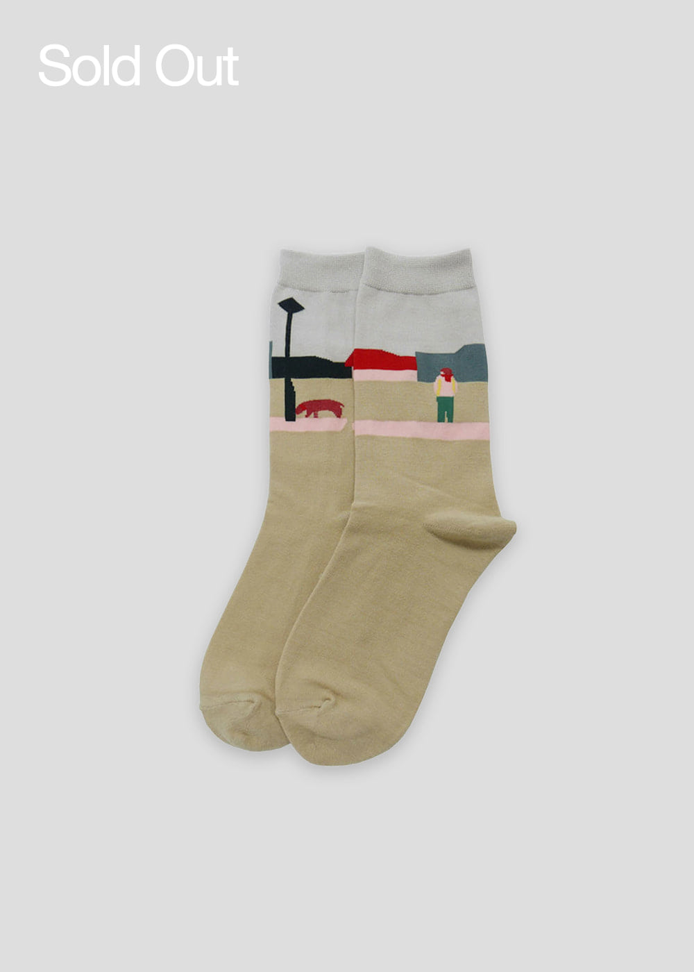 PINZLE x IHM Socks - The Afternoon of Winter